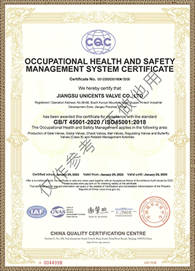 Occupational health and safety management system certificate