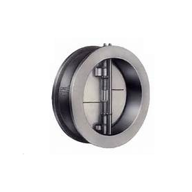 Stainless Steel 304&316 Butterfly Check Valve